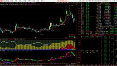 “神龙+入海”神龙入海资金筹码/红凤报喜副图【源码分享】