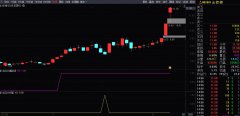 【通达信】龙回头实战套装指标{副图/选股}源码分享