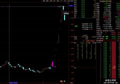 【通达信】火线竞价器主图公式指标/最近大火