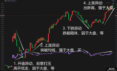 量学分时 基础量波 庄散异动 阴中看阳