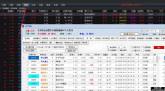 通达信专业板7.67可修改顶栏 改造属于自己的门户